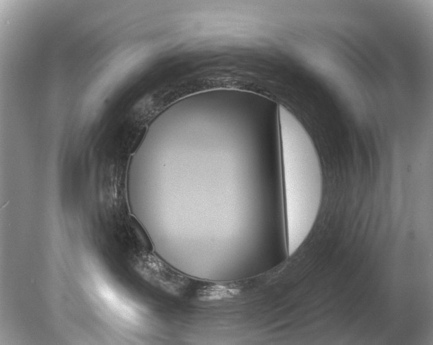 X0000080150239200612081100