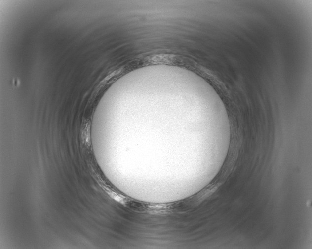 X0000080150240200612081100