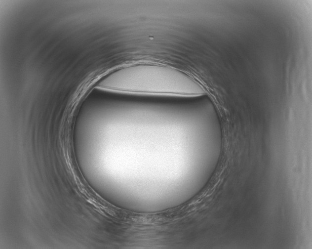 X0000080150241200612081059