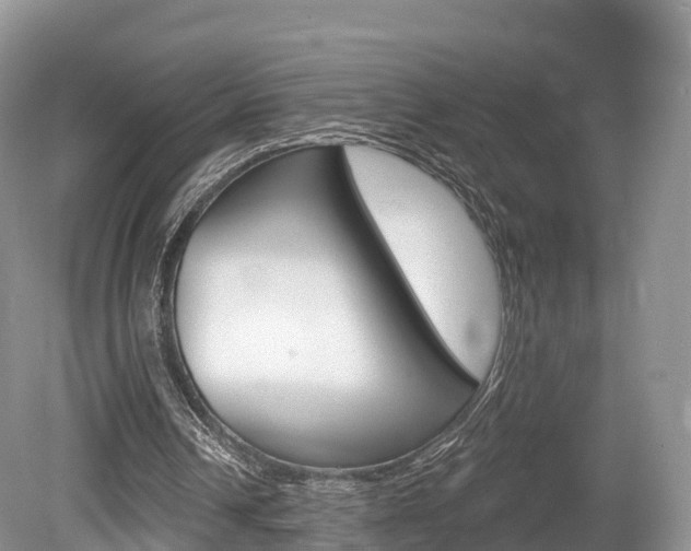 X0000080150242200612081059