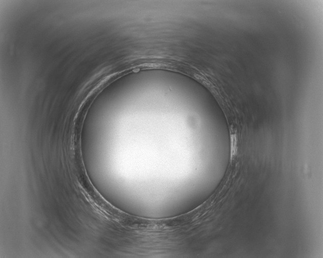 X0000080150243200612081059