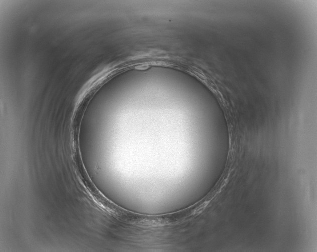 X0000080150245200612081059