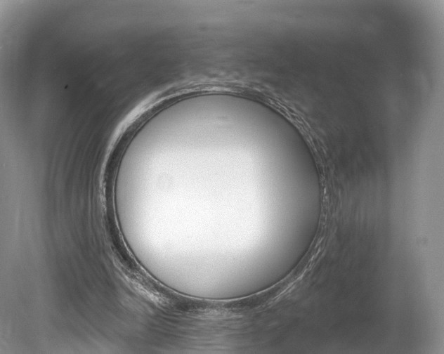 X0000080150246200612081100