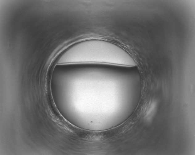 X0000080150247200612081100
