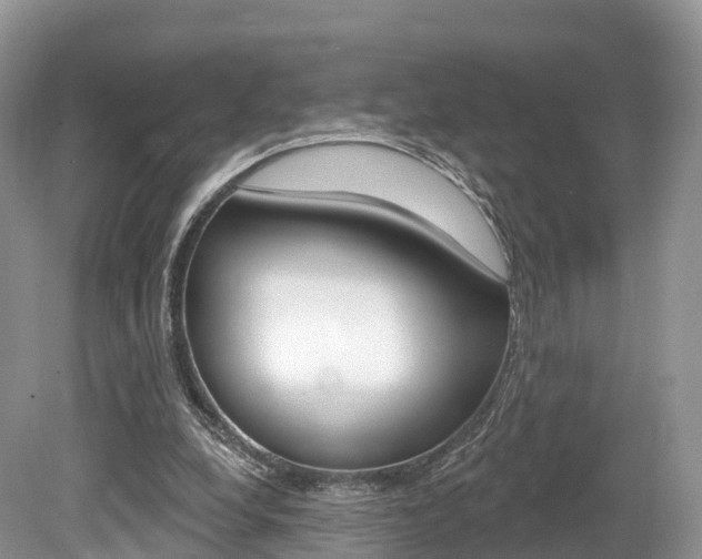 X0000080150248200612081100