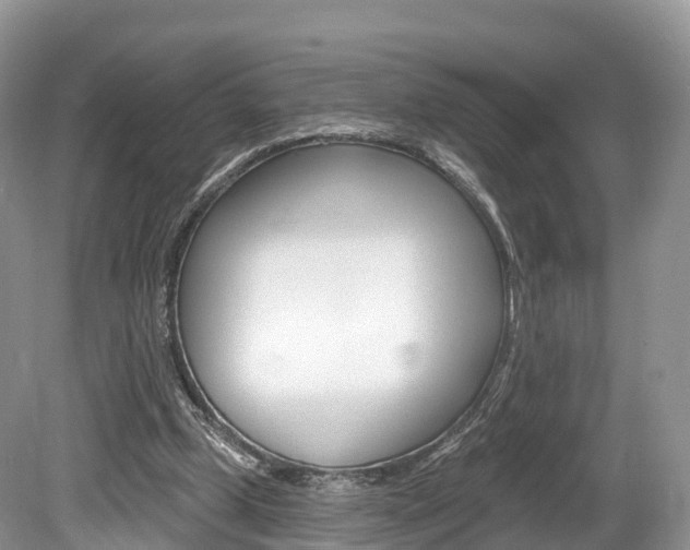 X0000080150249200612081100