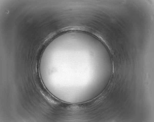 X0000080150253200612081100