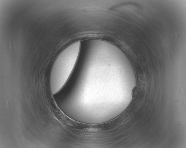 X0000080150255200612081100