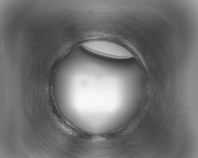 X0000080150257200612081100