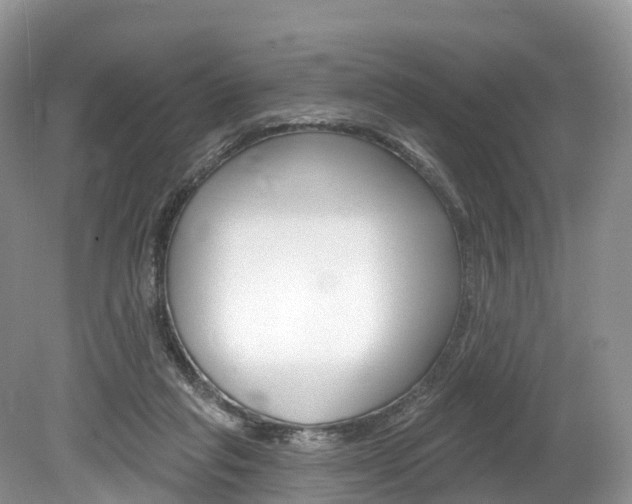 X0000080150261200612081100