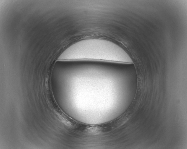X0000080150269200612081100