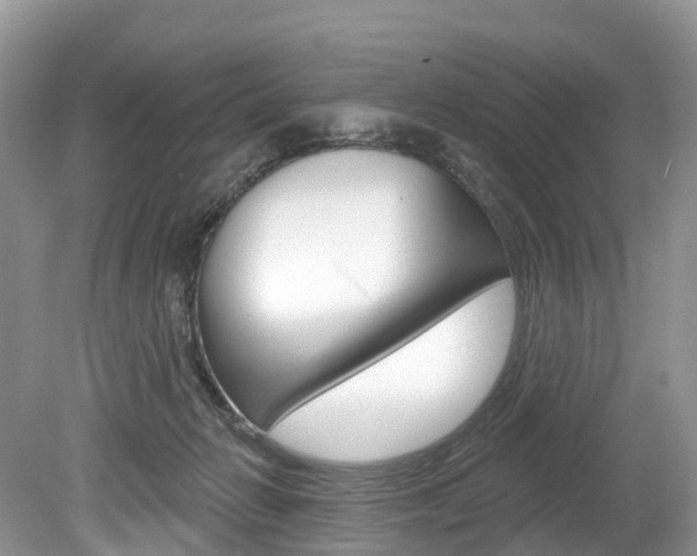 X0000080150270200612081100