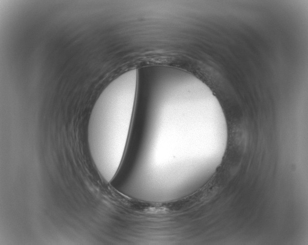 X0000080150271200612081100