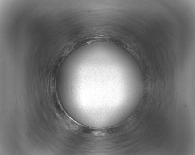 X0000080150272200612081100