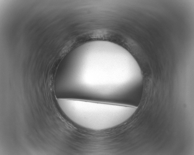 X0000080150273200612081100