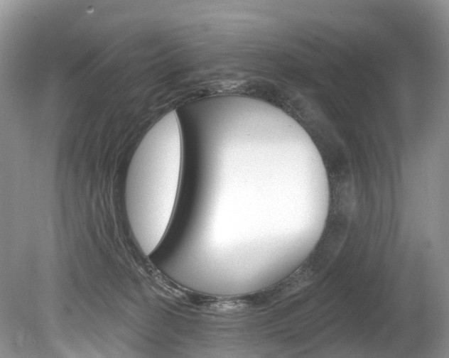 X0000080150274200612081100