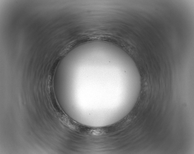 X0000080150275200612081100