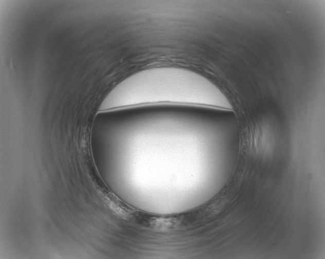 X0000080150277200612081100
