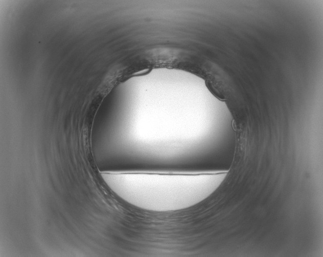 X0000080150283200612081100