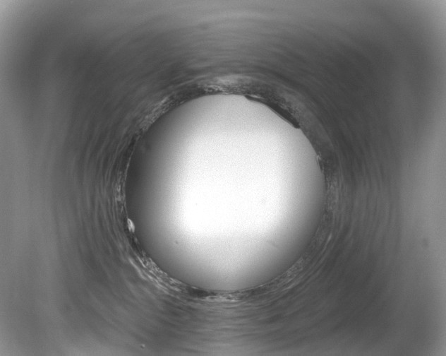 X0000080150284200612081100