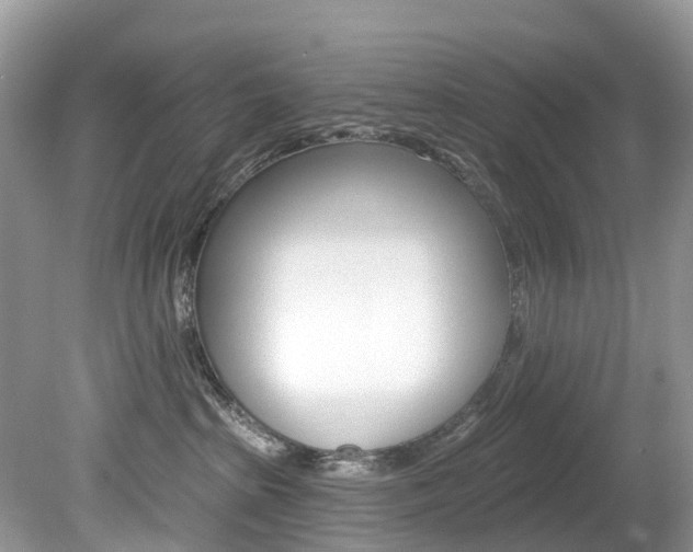 X0000080150285200612081100