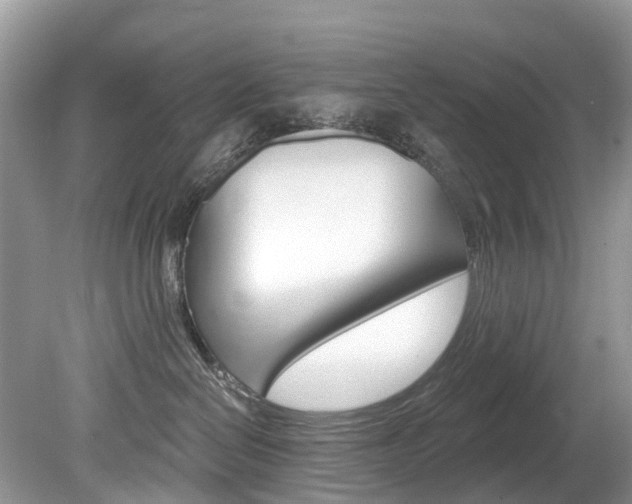 X0000080150286200612081100