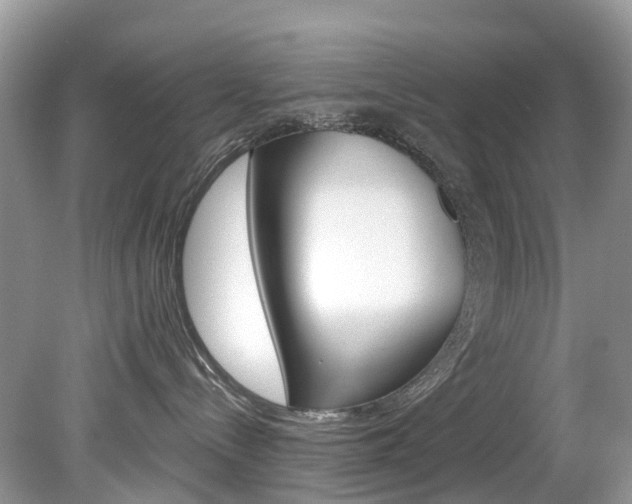 X0000080150288200612081100