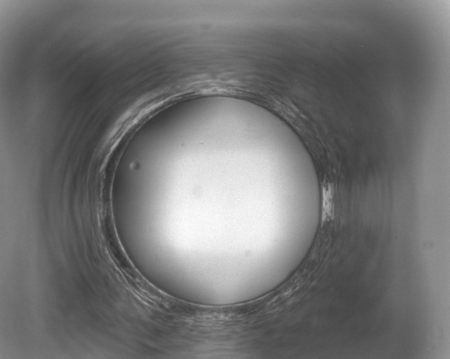X0000080150291200612081059