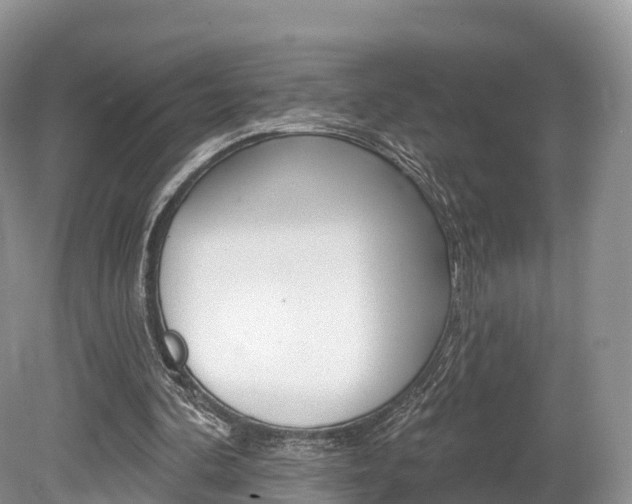 X0000080150292200612081059
