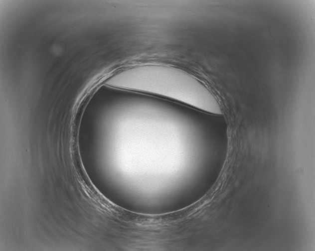 X0000080150293200612081059