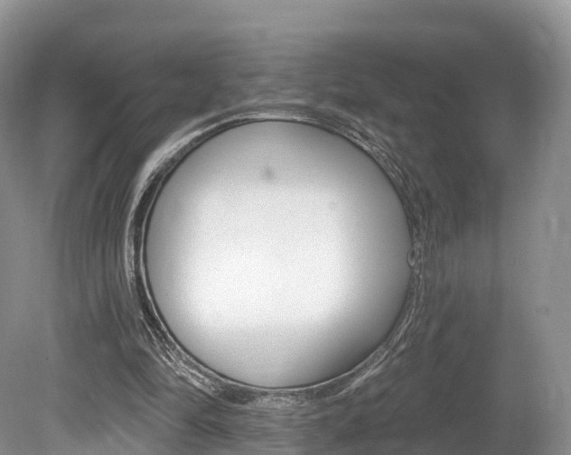 X0000080150294200612081059