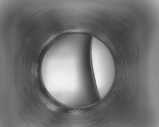 X0000080150300200612081059