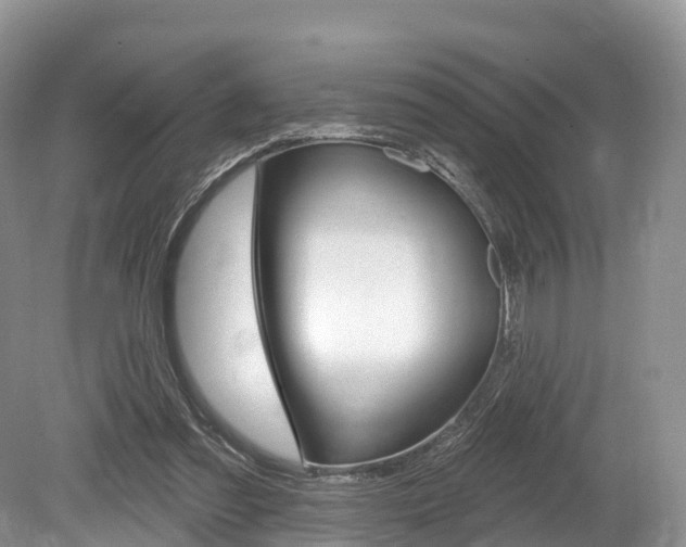 X0000080150301200612081059