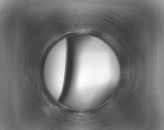 X0000080150303200612081059