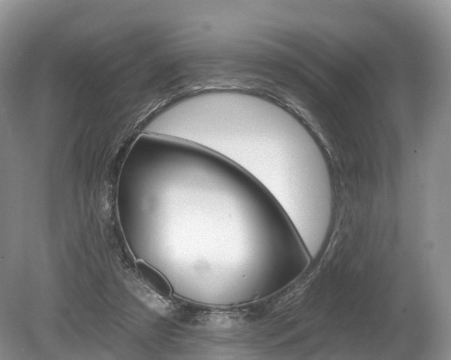 X0000080150305200612081059