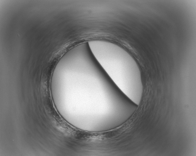 X0000080150306200612081059