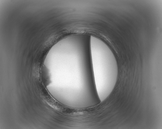 X0000080150307200612081059