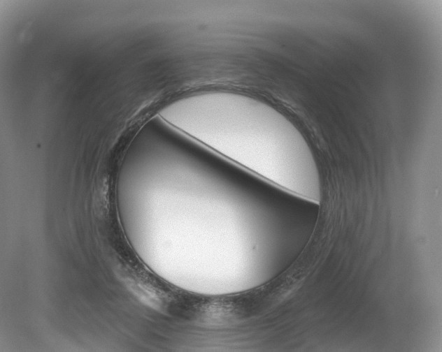 X0000080150308200612081059
