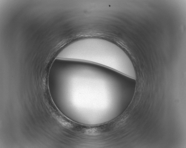 X0000080150309200612081059