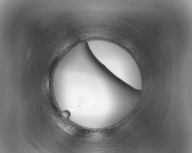 X0000080150310200612081059