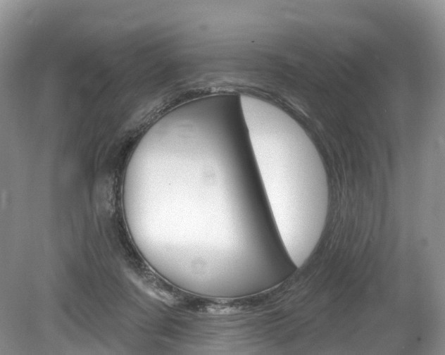 X0000080150311200612081059
