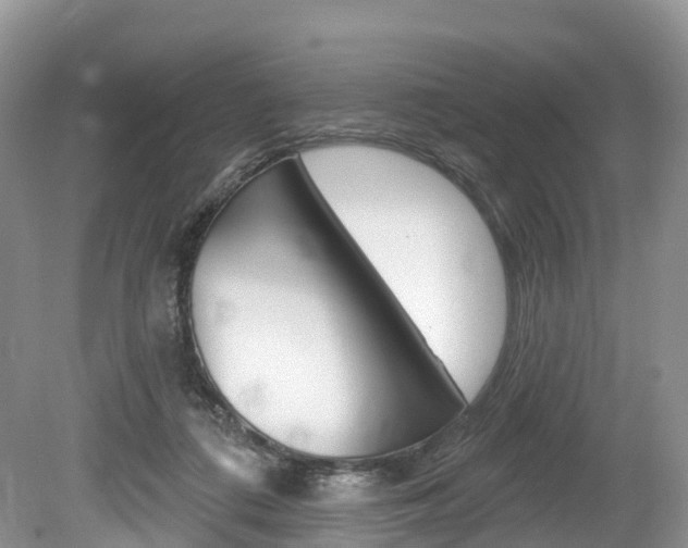X0000080150312200612081059