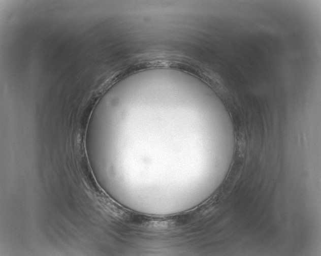 X0000080150314200612081059
