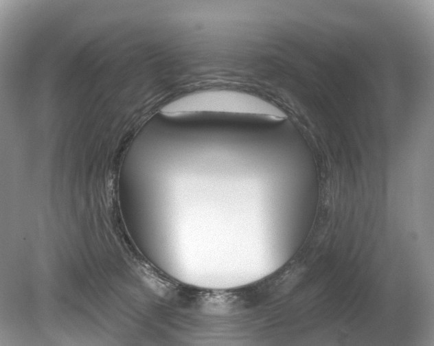 X0000080150321200612081059