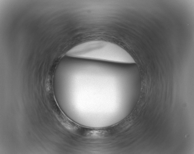 X0000080150323200612081059