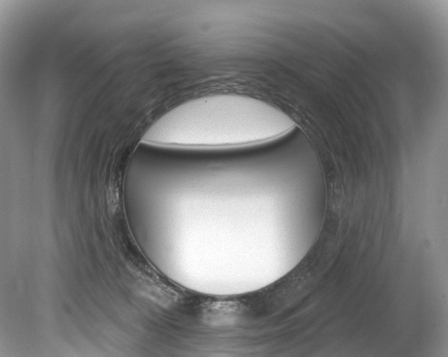 X0000080150324200612081059