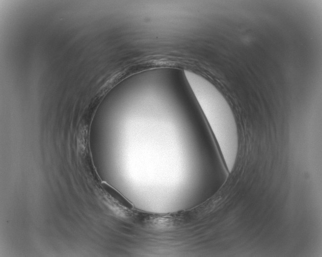 X0000080150325200612081059