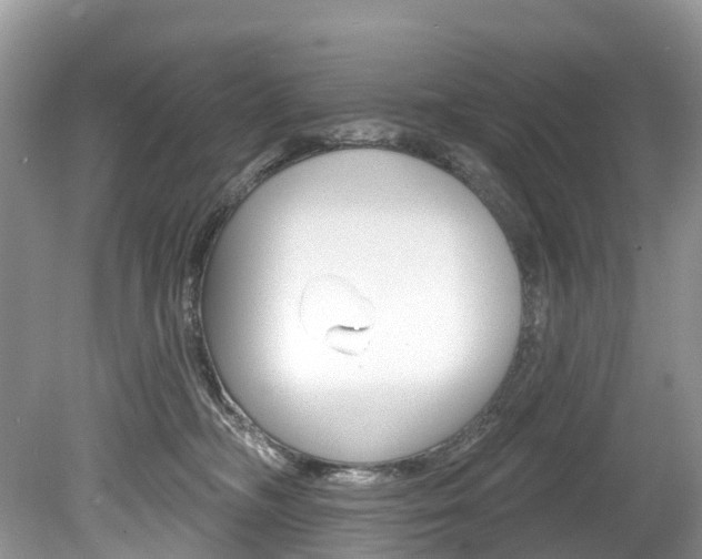 X0000080150326200612081059