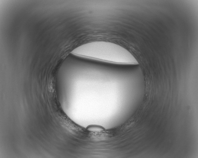 X0000080150331200612081059