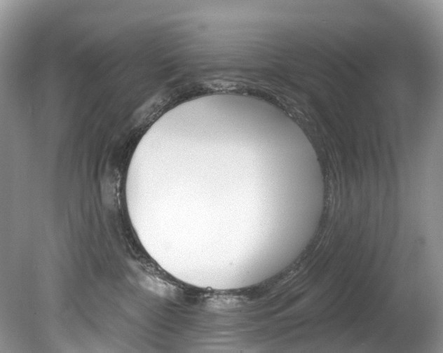 X0000080150332200612081059